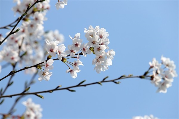 二字逗比网名男生