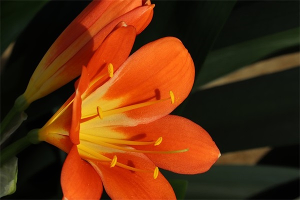 物是人非的经典句子