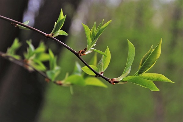 关于网络经典分手句子精选379句