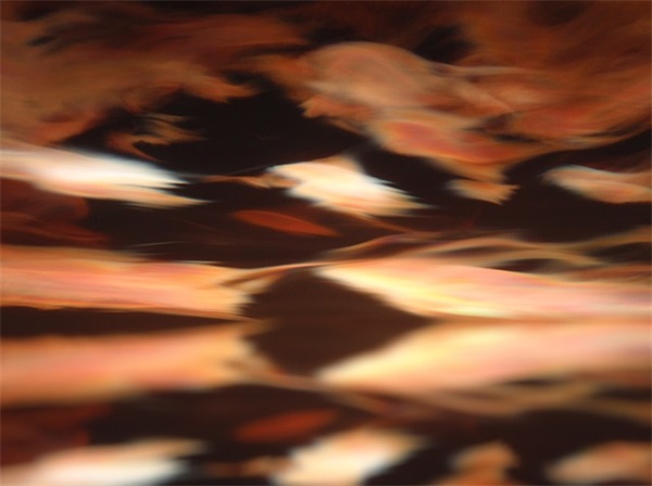 2026描写语言的句子