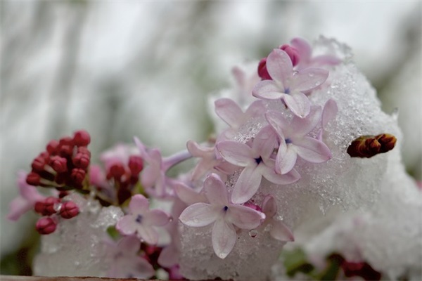 自由在高处经典句子