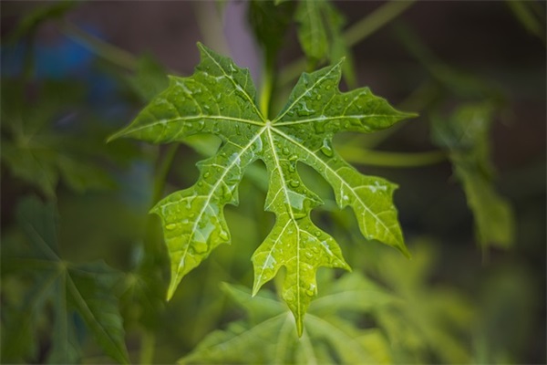 好微信名字好运气