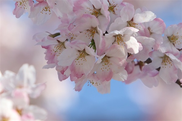 带粥的名字女网名霸气