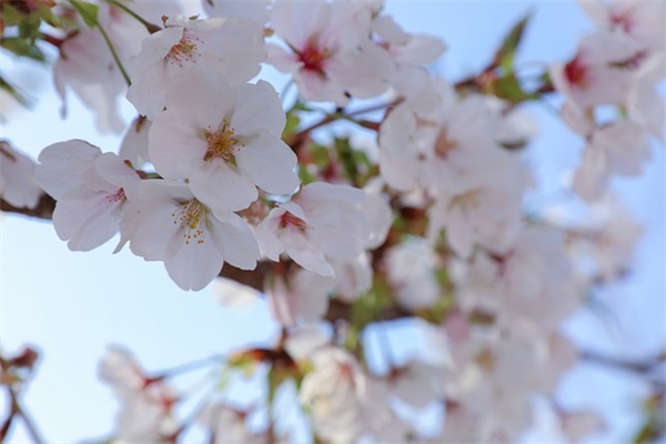 带潮字好听的网名