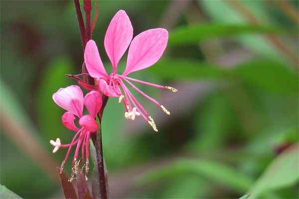 早上打招呼的幽默句子