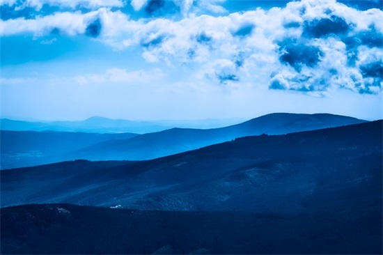 描写桂花的优美句子优质