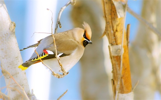 残酷的句子57句