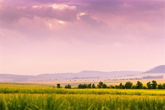 适合儿子生日简短的句子156句
