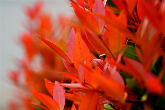 抖音社会句子8个字霸气十足 敢想敢说敢闯敢干