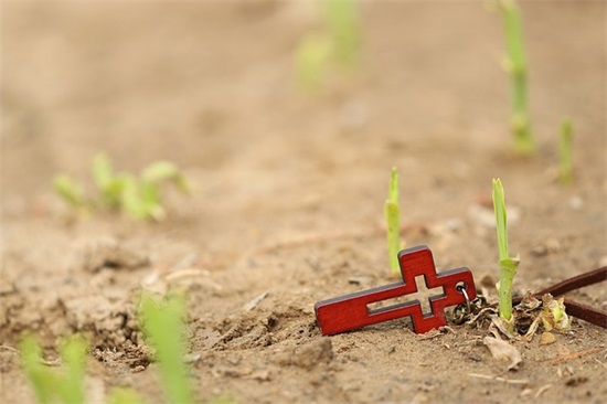 周一语录正能量简短-65句