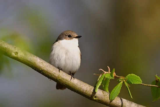 一个人死性不改的说说-52句