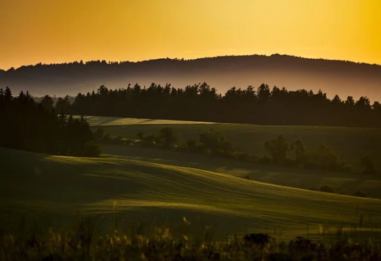 贸易专业求职信