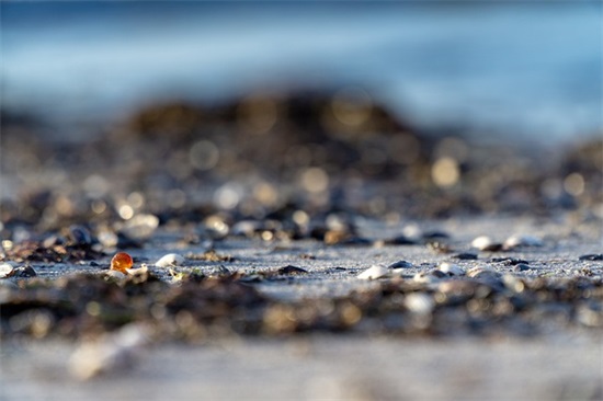 小学生竞职演讲稿范文