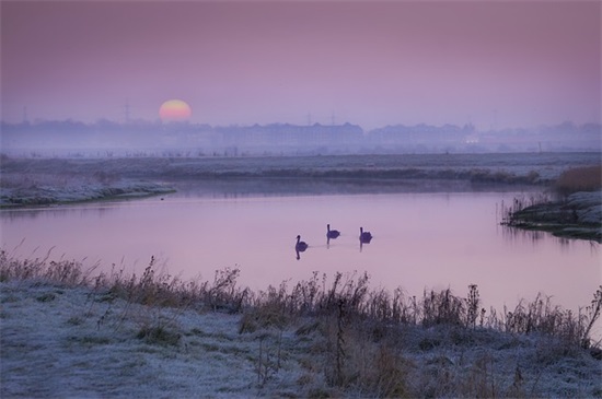 竞聘店长演讲稿范文