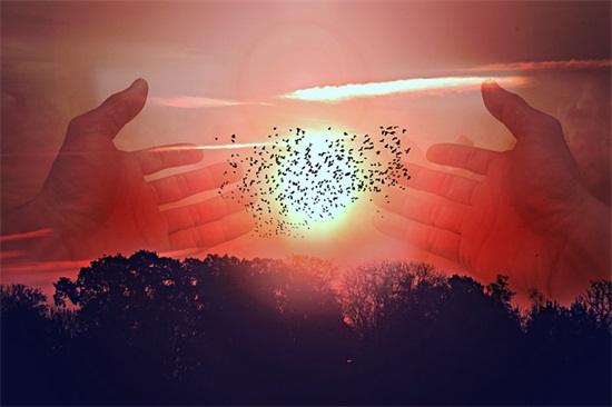 孩子开学家长寄语简短的-55句