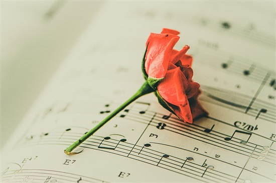 同学录老师寄语-56句