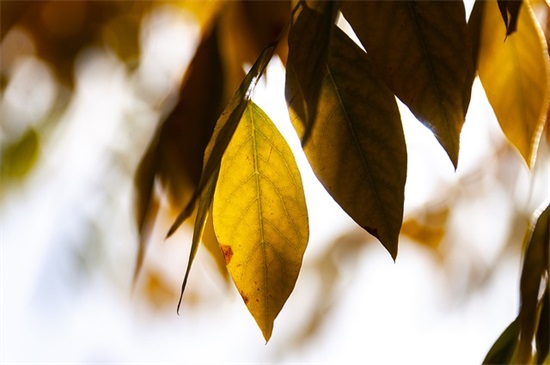 给初中老师的一句话寄语-52句