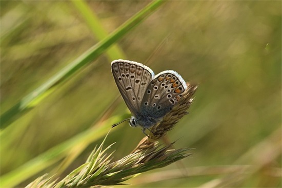 学期寄语自己对自己说的话300字-61句