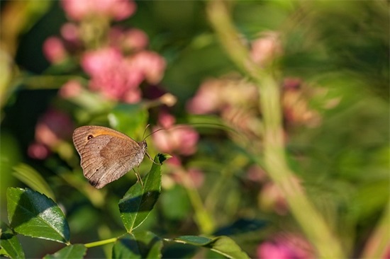 高考后寄语-51句