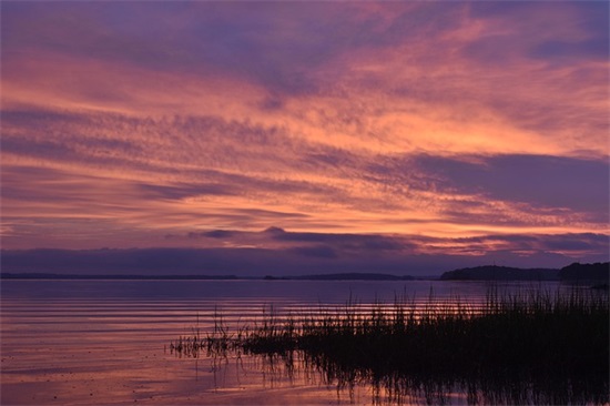 含蓄生日寄语致自己-51句