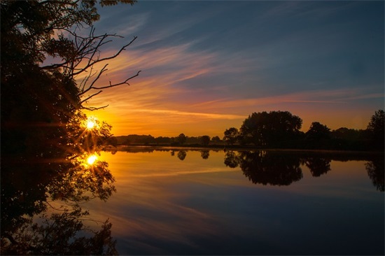 重阳节的伤感句子