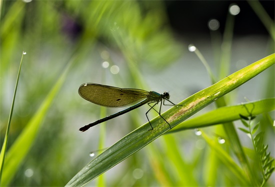 人生活孤独的句子 人生活挺好的句子