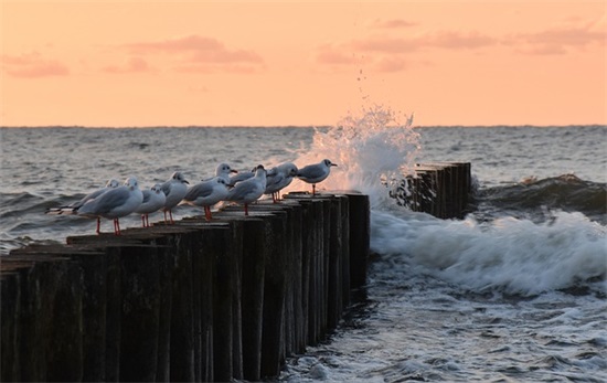 形容家里温暖的句子