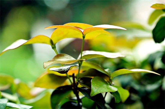 做人做事无愧于心的句子 做好自己不忘初心