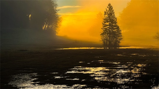 正能量句子 充满正能量的句子