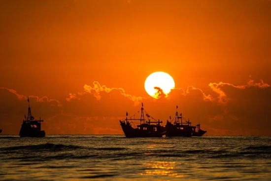 优美的拟人句子72句