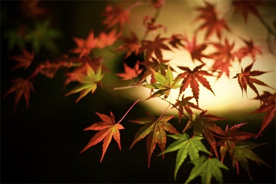 九月你好简短句子