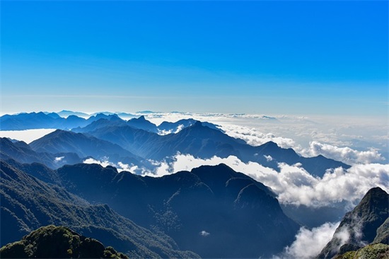 知乎句子妙言珠玑 知乎好句子