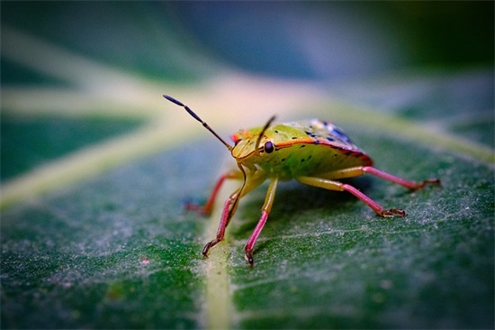 2025年女生节文案句子大全