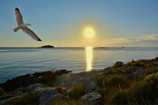 鼓励成功人士句子短语