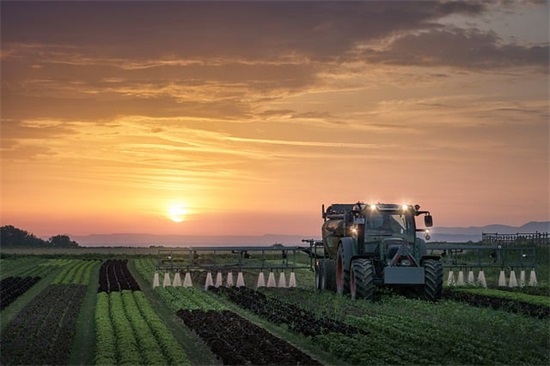 不看一定会后悔的搞笑句子(喝酒后悔的搞笑句子)