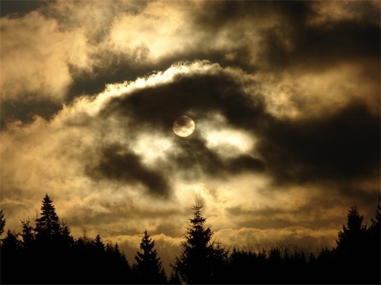 形容晚会的句子有哪些？