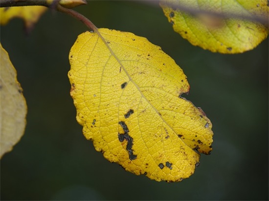 有关于伤感的句子 伤感短句子