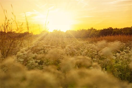 早教小朋友毕业寄语-22句