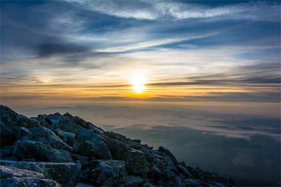 赞美荷花的句子20句