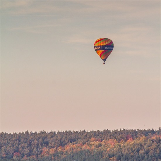 公司组织架构介绍范文(通用十一篇)