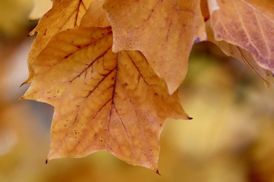 英语高考满分作文范文(实用20篇)