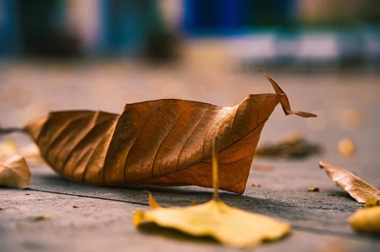 医药代表简历范文(精选十六篇)