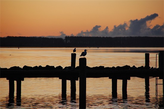 酉阳桃花源导游词