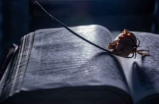 饼干的制作方法和配方