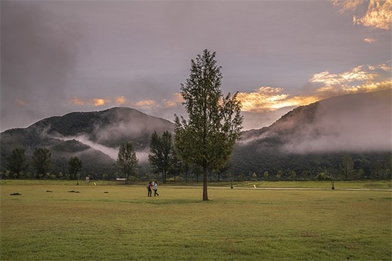 父母寄语怎么写三年级 【父母寄语小学三年级】