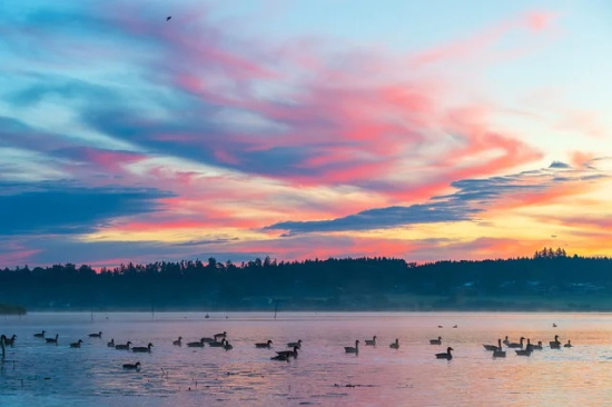 学生祝福语寄语 【学生祝福语寄语怎么写】