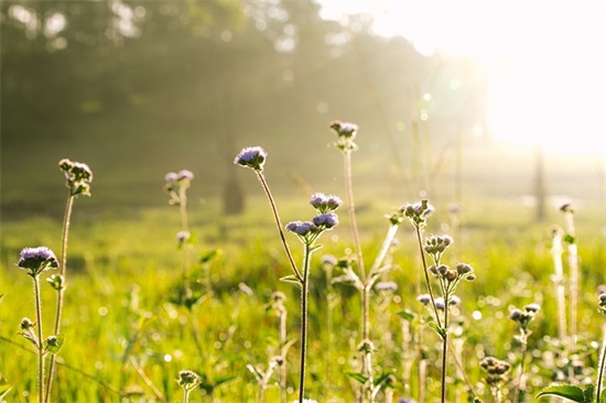 给上中班的孩子的寄语 【写给上中班小朋友的祝福语】