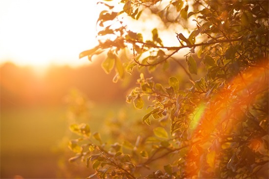 孩子的鼓励和期望寄语 【100句精选】