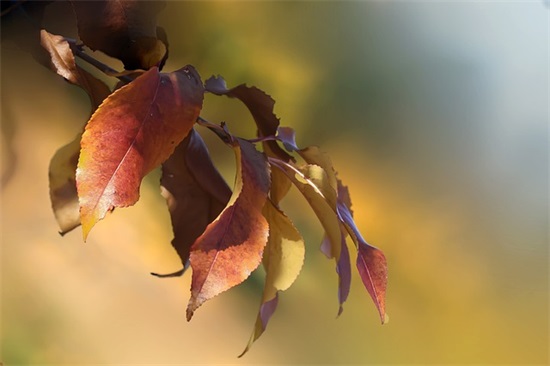 老师对毕业生的寄语与期望 【老师对毕业学生的寄语接地气】