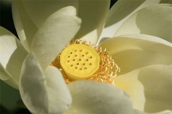 带糯字的符号昵称网名